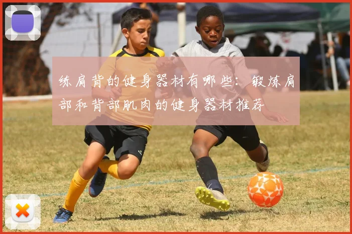 练肩背的健身器材有哪些：锻炼肩部和背部肌肉的健身器材推荐