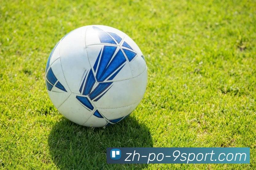 J9九游平台生态图